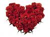 اضغط على الصورة لعرض أكبر. 

الإسم:	Red Roses Heart-839609.jpg 
مشاهدات:	417 
الحجم:	16.7 كيلوبايت 
الهوية:	173