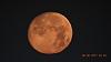 اضغط على الصورة لعرض أكبر. 

الإسم:	IMG_8706.jpg 
مشاهدات:	571 
الحجم:	76.4 كيلوبايت 
الهوية:	4826