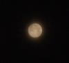 اضغط على الصورة لعرض أكبر. 

الإسم:	Moon31-08-2012a.JPG 
مشاهدات:	547 
الحجم:	67.1 كيلوبايت 
الهوية:	636