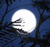 اضغط على الصورة لعرض أكبر. 

الإسم:	A735A39E-F50E-4F77-B67C-D5FF9D690E6A.jpg 
مشاهدات:	3316 
الحجم:	11.2 كيلوبايت 
الهوية:	6661